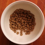 dogfood crunchy dog food