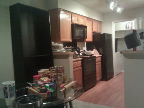 My Apartment Just Moved in Mess