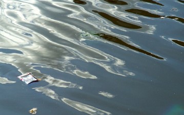dirty water dirty water
