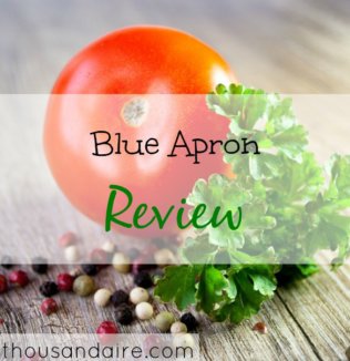 food service review, blue apron, meal delivery service