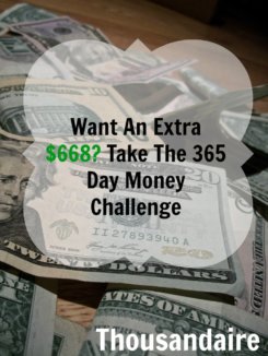 money challenge, saving money, 365 day money challenge