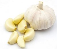 Happy National Garlic Day on Amazon
