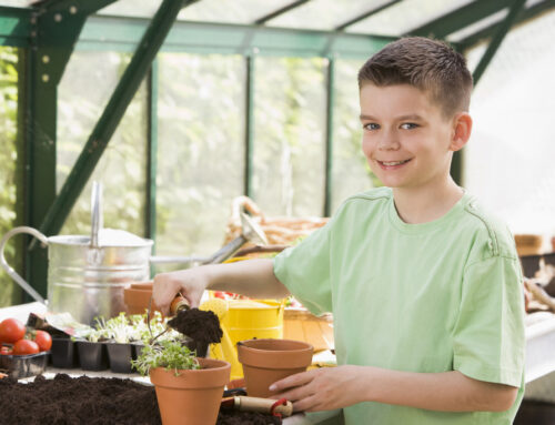 7 Ways to Enhance Your Garden’s Energy Efficiency