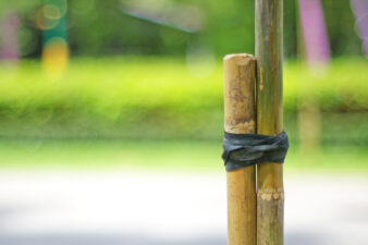 bamboo sticks tied together with black ribbon