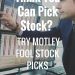 Motley Fool Stock Picks