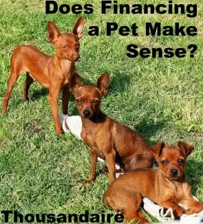Financing a pet is something you might want to try.