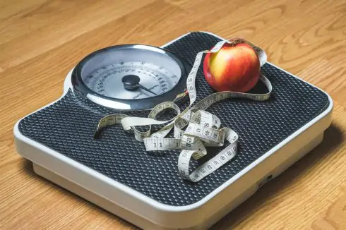 obesity and insurance premiums